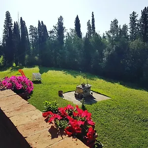 Frühstückspension Niccoli Castelfiorentino